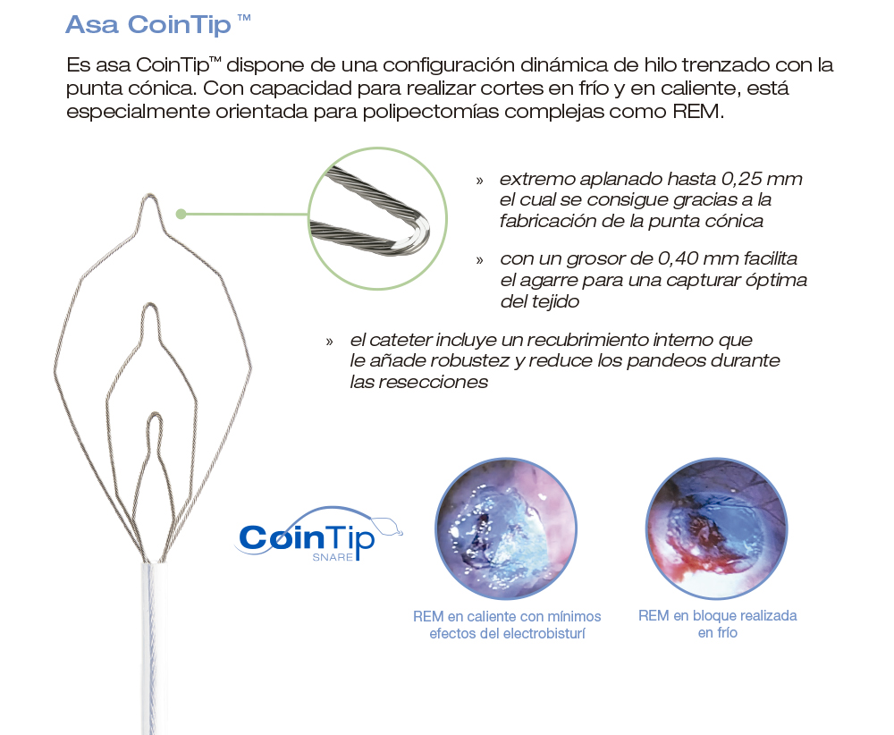 Ficha Asa Híbrida CoinTip